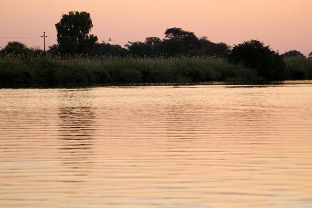 Camp Hogo Kavango Rundu Dış mekan fotoğraf